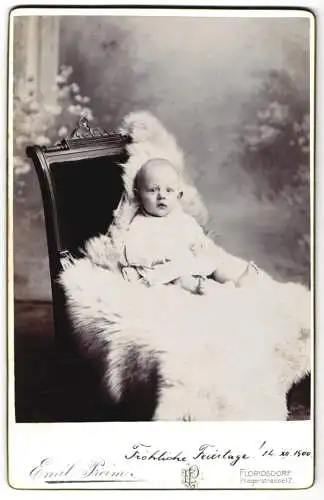 Fotografie Emil Reim, Floridsdorf, Pragerstr. 17, Süsses Baby im weissen Kleid mit neugierigem Blick auf hellem Fell