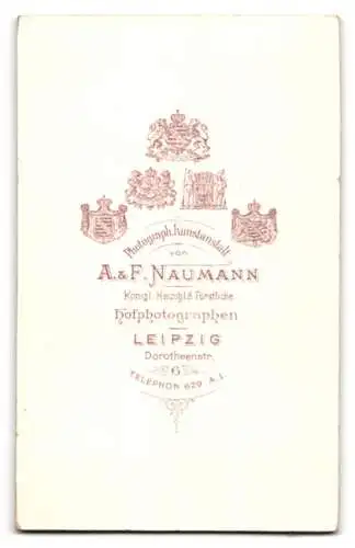 Fotografie A. & F. Naumann, Leipzig, Dorotheenstr. 6, Elegante Bürgerliche in tailliertem Kleid mit Streifenmuster