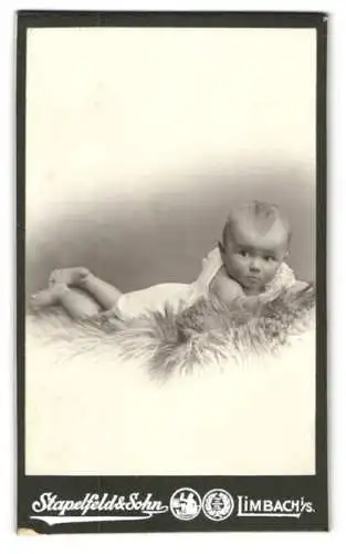 Fotografie Stapelfeld & Sohn, Limbach i. S., Süsses Kleinkind auf dem Bauch liegend
