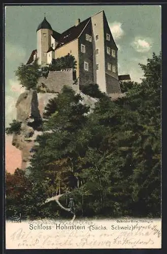 AK Hohnstein /Sächs. Schweiz, Schloss Hohnstein