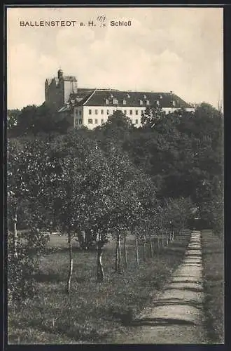 AK Ballenstedt a. H., Weg zum Schloss