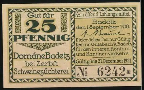 Notgeld Hohenlepte / Badetz 1918, 25 Pfennig, Schweinezucht, Borstenvieh und Hochzeitsfest am Saalestrand