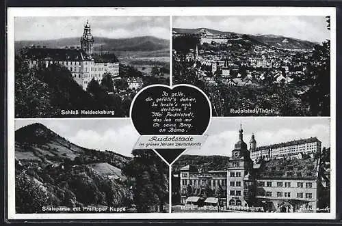 AK Rudolstadt, Schloss Heidecksburg, Saalepartie mit Preilipper Kuppe, Markt