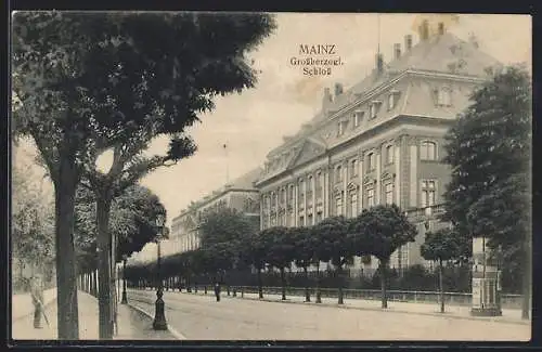 AK Mainz, Strassenpartie am Grossherzogl. Schloss
