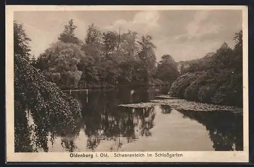 AK Oldenburg i. Old., Schwanenteich im Schlossgarten