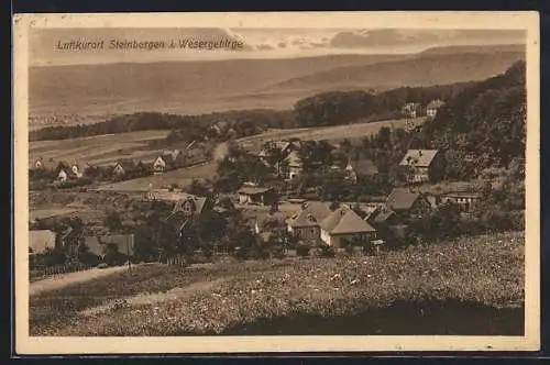 AK Steinbergen i. Wesergebirge, Ortsansicht aus der Vogelschau