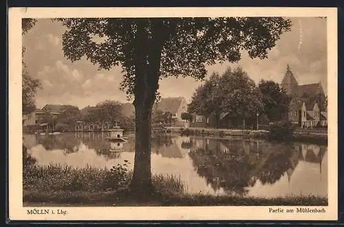 AK Mölln i. Lbg., Partie am Mühlenbach