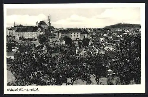 AK Sulzbach-Rosenberg /Opf., Teilansicht mit Kirche