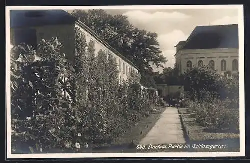 AK Dachau, Partie im Schlossgarten