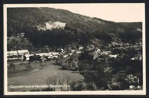 AK Waldegg-Peisching /N. Ö., Ortsansicht mit Berg