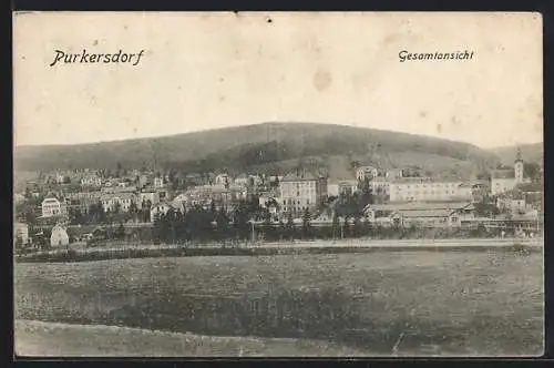 AK Purkersdorf, Gesamtansicht mit Bergpanorama