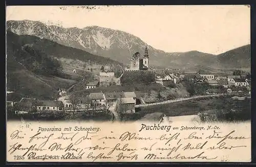 AK Puchberg am Schneeberg, Panorama mit Schneeberg