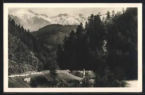 AK Neuberg an der Mürz, Ortspartie mit Landstrasse, Gebäude und Bergpanorama