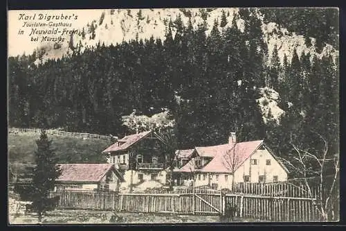 AK Neuberg an der Mürz, Neuwald-Frein, Touristen-Gasthaus Karl Diguber