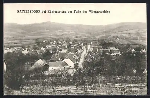 AK Katzelsdorf bei Königstetten, Teilansicht mit Strassenpartie