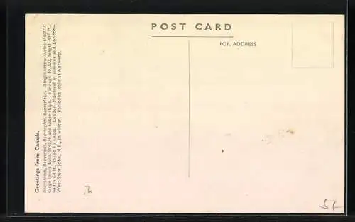 AK Handelsschiff Beavercove vor der Küste