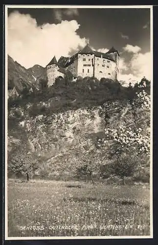 AK Gutenberg, Schloss mit Bäumen