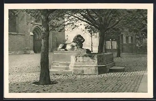 AK Braunschweig, Löwenbrunnen an der Katharinenkirche