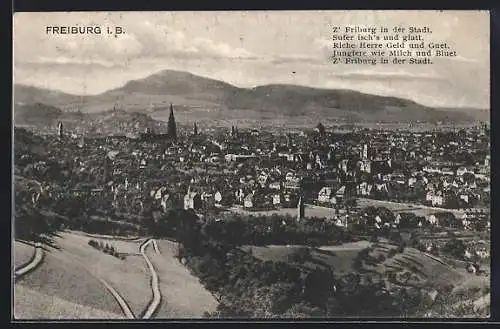 AK Freiburg i. B., Ortsansicht mit Bergpanorama von einer Parkanlage aus