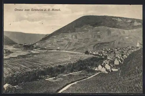 AK Senheim /Mosel, Ortsansicht mit Moselblick