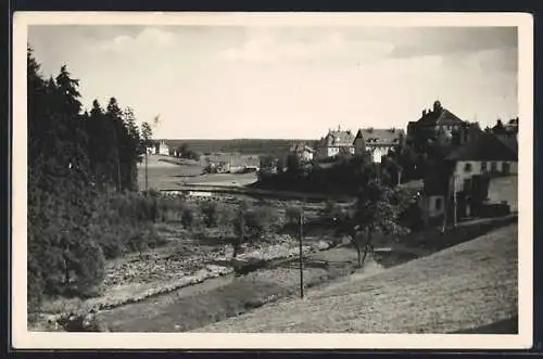 AK Reitzenhain /Erzgeb., Blick auf den Ort