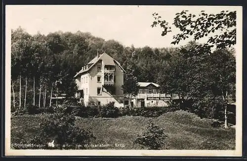 AK Wolkenstein i. Erz., Gasthaus Waldfrieden