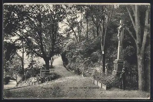 AK Freiburg / Breisgau, am Kreuz auf dem Schlossberg