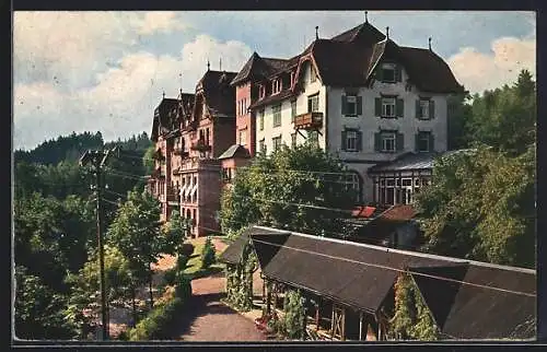 AK Freudenstadt, Kurhaus Palmenwald