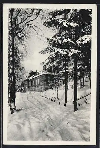 AK Gornsdorf /Erzg., Hotel Andreasberg mit Strasse im Winter