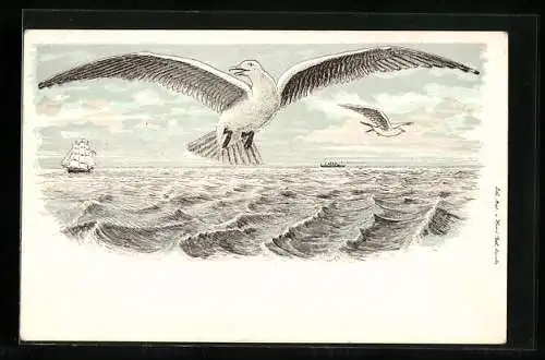 Lithographie Möwen über der Nordsee, Schiffe