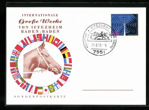AK Iffezheim, Internationale Grosse Woche 1965, Pferd mit Flaggen