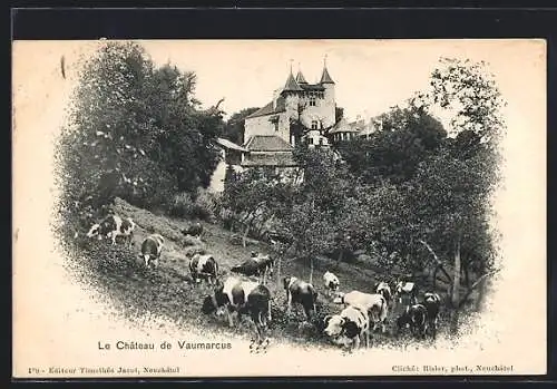 AK Vaumarcus, Le Château