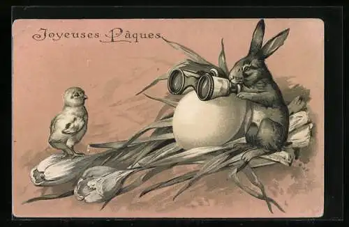 AK Osterhase mit Fernglas