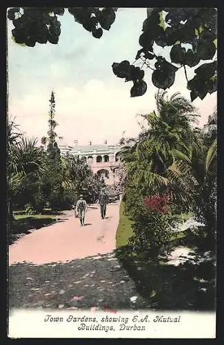 AK Durban, Town Gardens, showing S. A. Mutual Buildings