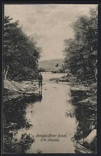 AK Georges River /C. B., Brook