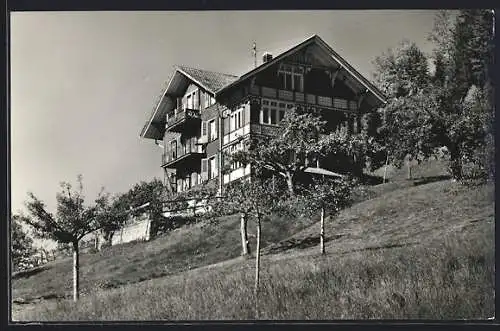 AK Beatenberg, Hotel Chalet Baumgarten mit Obstbaumwiese