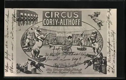 Künstler-AK Circus Corty-Althoff, Manege mit Pferden