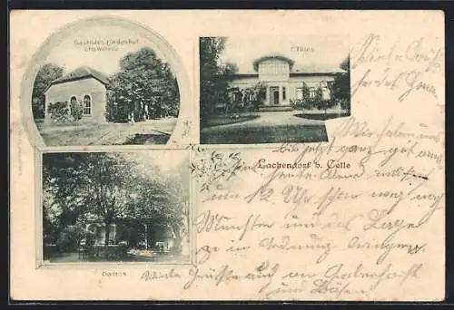 AK Lachendorf b. Celle, Gasthaus Lindenhof, Garten, Villa von F. Thies