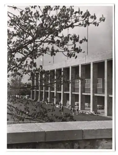 5 Fotografien Ansicht Berlin, Olympiastadion in Westend, Olympische Spiele 1936, Reichssportfeld