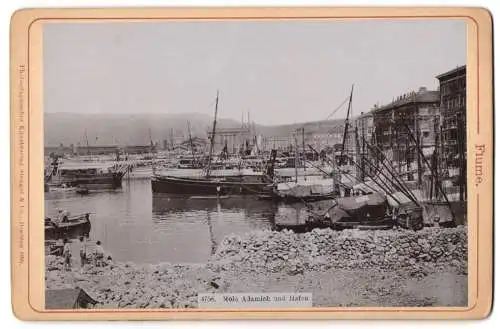 Fotografie Stengel & Co., Dresden, Ansicht Fiume, Molo Adamich und Hafen, Segel und Dampfboote