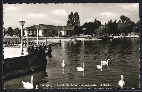 AK Waging a. See., Strandpromenade mit Kurhaus