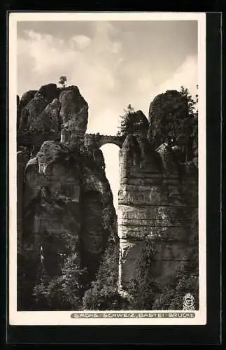 Foto-AK Walter Hahn, Dresden, Nr. 3211: Elbsandsteingebirge, Bastei-Brücke