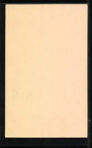 Foto-AK Walter Hahn, Dresden, Nr. 615: Kletterer an der Barbarine
