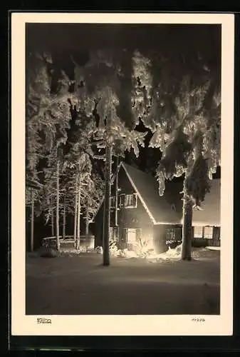 Foto-AK Walter Hahn, Dresden, Nr. 11956: Verschneites Haus im Wald