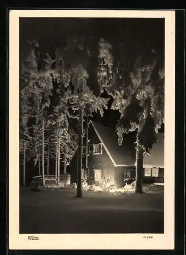 Foto-AK Walter Hahn, Dresden, Nr. 11956: Verschneites Haus im Wald