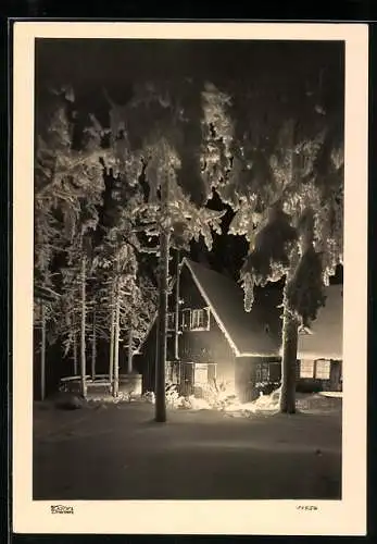 Foto-AK Walter Hahn, Dresden, NR. 11956: Altenberg im Osterzgebirge, Waldschänke Altes Raupennest