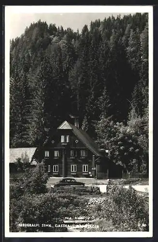 AK Niederalpl /Stmk., Gasthaus Gamsjäger