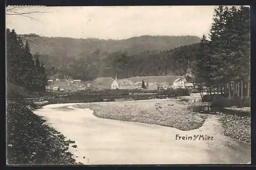 AK Frein a. Mürz, Ortspartie