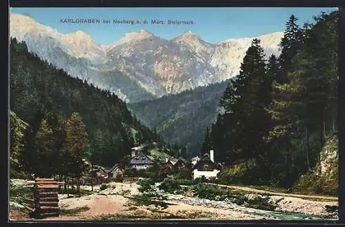 AK Neuberg an der Mürz, Karlgraben, Panorama