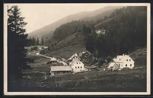 AK St. Aegyd am Neuwalde, Lahnsattel, Ortspartie mit Strasse